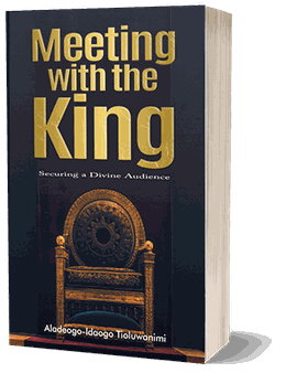 Cover of Meeting with the King
