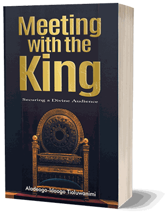 Cover of Meeting with the King