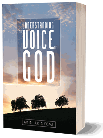 Cover of Understanding the Voice of God
